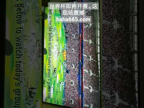 热烈庆祝,饭圈之光,盛李豪在人,Pg电子试玩模拟器app下载,Pg电子试玩模拟器官网,Pg电子试玩模拟器官方网站,Pg电子试玩模拟器平台