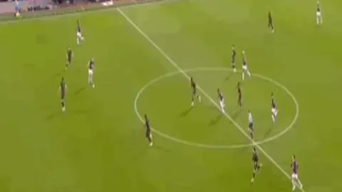 辛纳澳网男单夺冠，连胜三场完美击败兹维列夫巩固王者之位