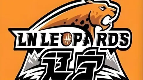 “世预赛中国队主场不敌澳大利亚 据新华社消息”